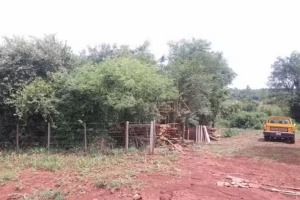 Betel Casa De Dios