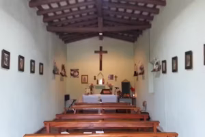 Capilla de San Isidro Labrador. Árbol Solo.