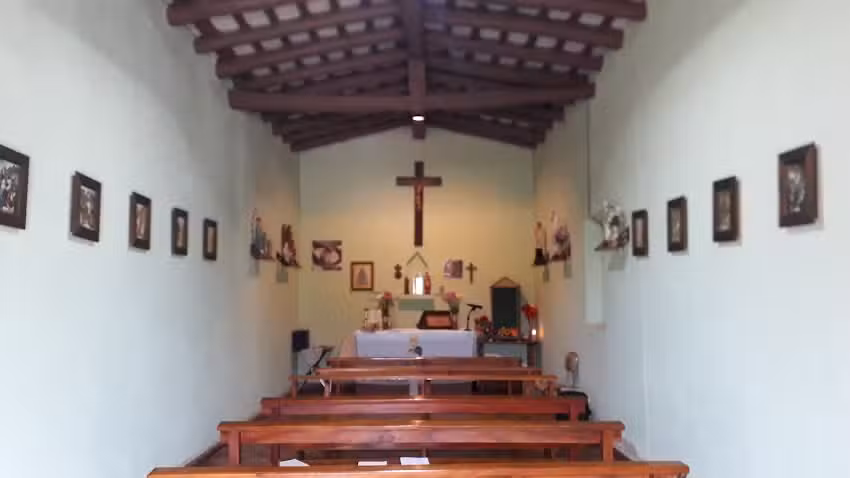 Capilla de San Isidro Labrador. Árbol Solo.