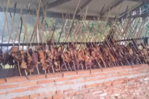 Capilla Virgen de ITATI Bella Vista Misiones