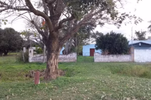 Capilla Virgen de Lujan
