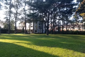 Casa San José