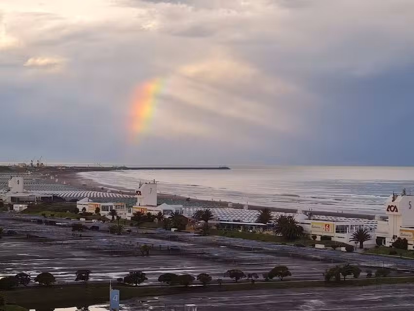 Cree en el Señor Jesucristo, y serás salvo (Hechos 16:31)