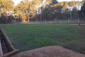 Dios es amor