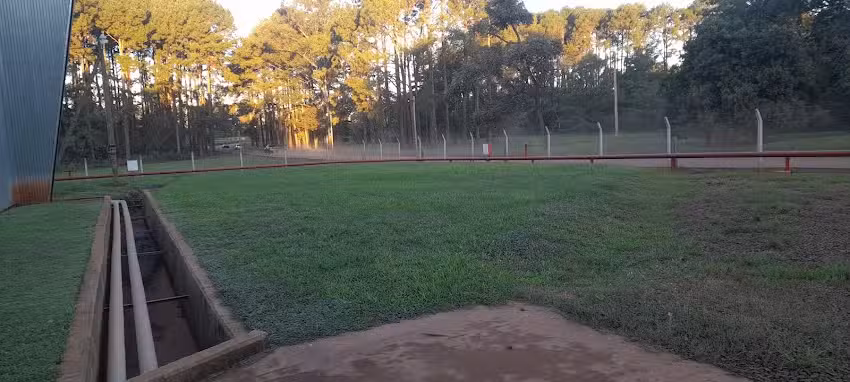 Dios es amor