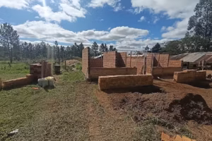 El Porvenir 2