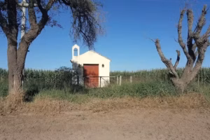 EL RANGEL