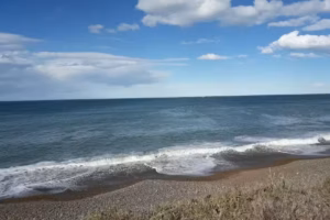 FUNDACION CENTRO AVIVAMIENTO CALETA OLIVIA