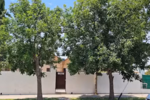 Hermanas Misioneras de la Caridad