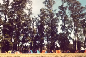 Iglesia Adventista del Séptimo Día – Burzaco