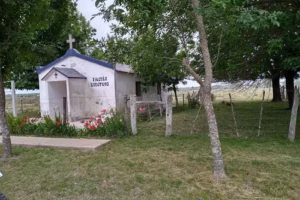 Iglesia Evangélica Luterana Argentina