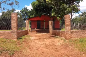 Iglesia Jesucristo Es Dios