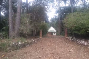Iglesia Nueva Apostólica de Picada Suiza