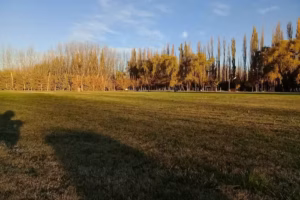 Iglesia Pentecostal Argentina