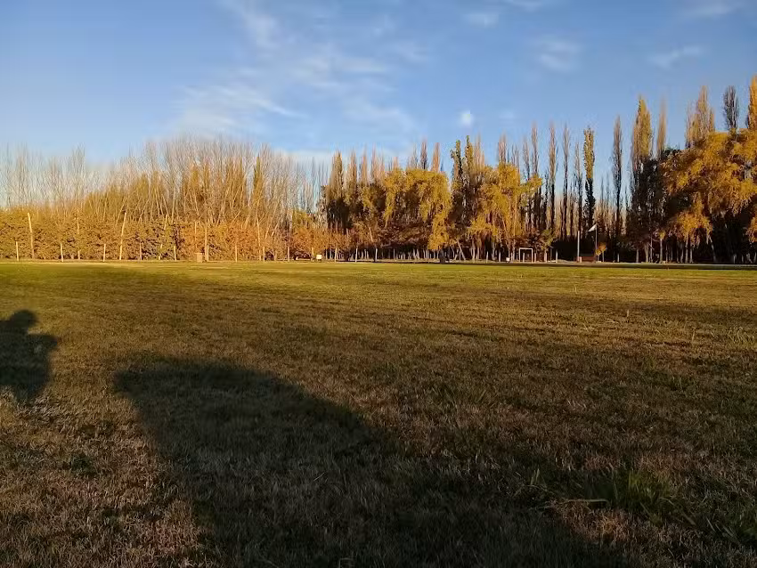 Iglesia Pentecostal Argentina
