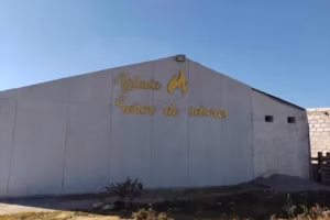 Iglesia señor de señores