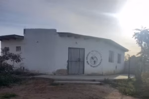 impa cinco saltos