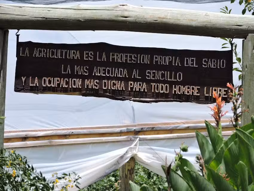 INSTITUTO SUPERIOR DE ESTUDIOS GNÓSTICOS Y CULTURALES – ACADEMIA VERSALLES
