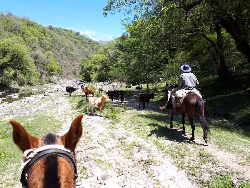 LA HIGUERA