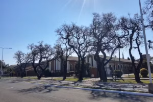 La Iglesia de Jesucristo de los Santos de los Últimos Días