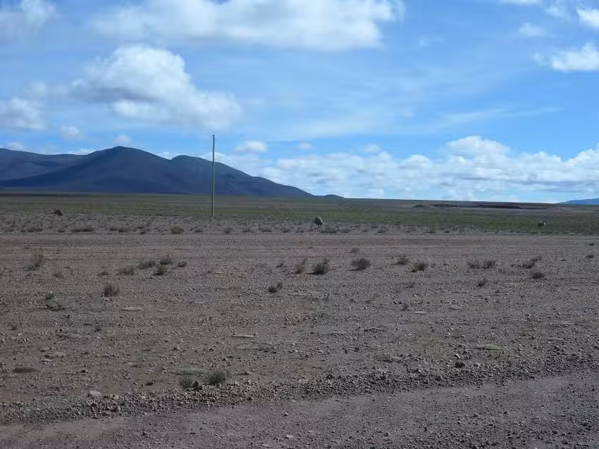 Loma Punta