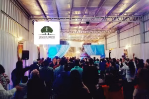 Los Dos Olivos Ministerio Apostólico Y Profético