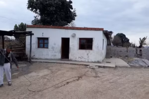 los flamencos