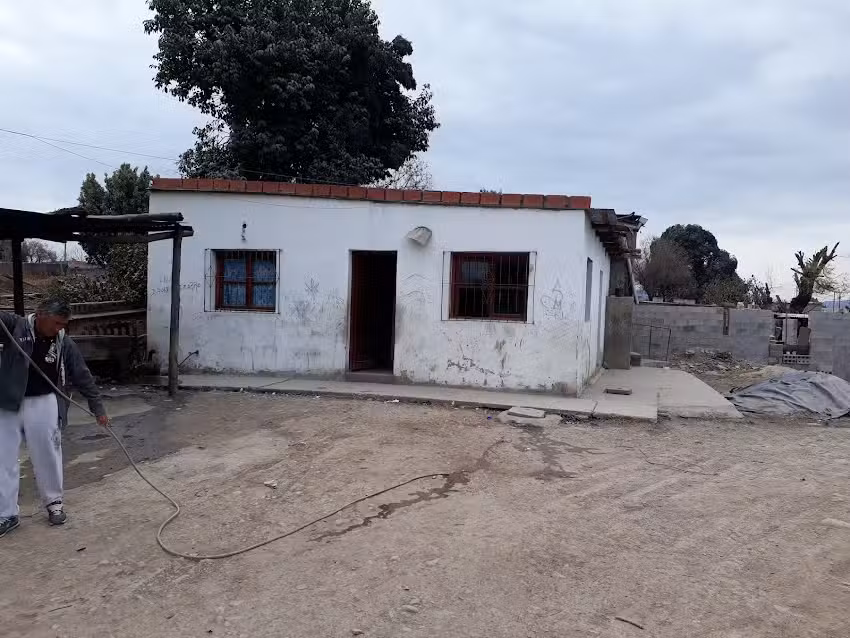 los flamencos
