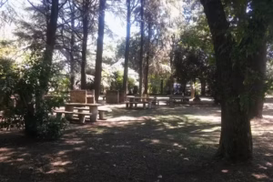 LUGAR DE ENCUENTRO LCB