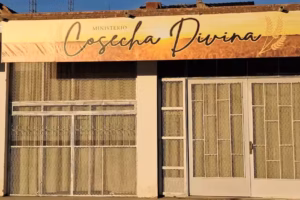 Ministerio Cosecha Divina
