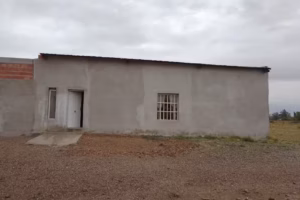 Ministerio “Vida Nueva”