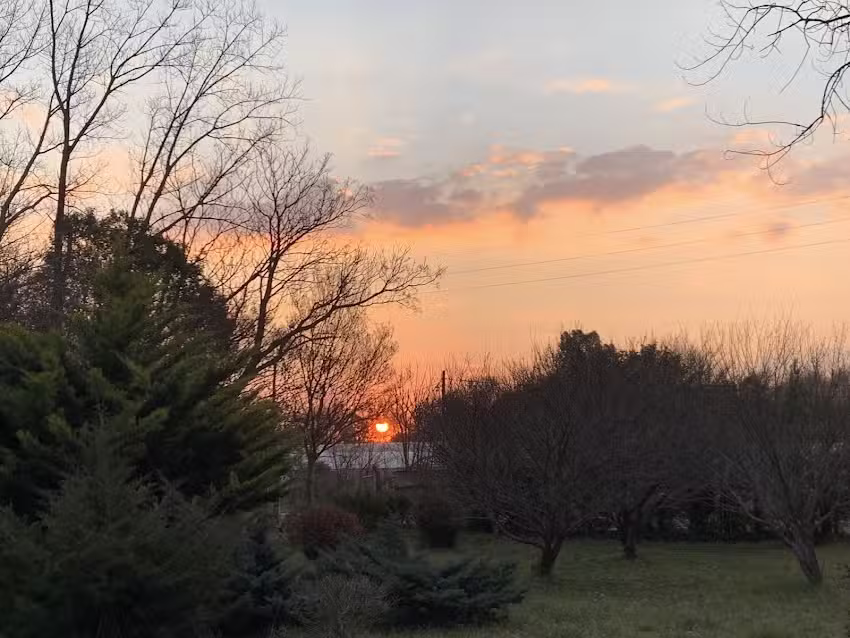 Nozomi- En – Campo Esperanza