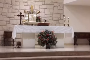 Parroquia Nuestra Señora del Carmen