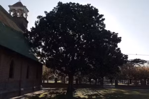 Parroquia San José – Mones Cazón