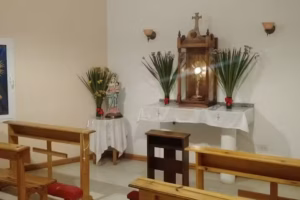 Parroquia San Luis Rey de Francia