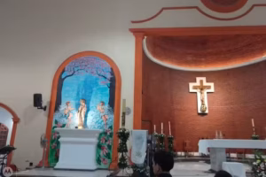Parroquia San Luis Rey de Francia