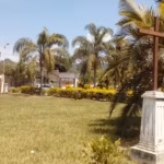 Parroquia San Ramon Nonato