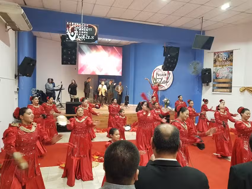 Pasion Por Las Vidas