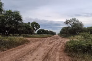 Pje las 4 bocas, el espinillo Chaco