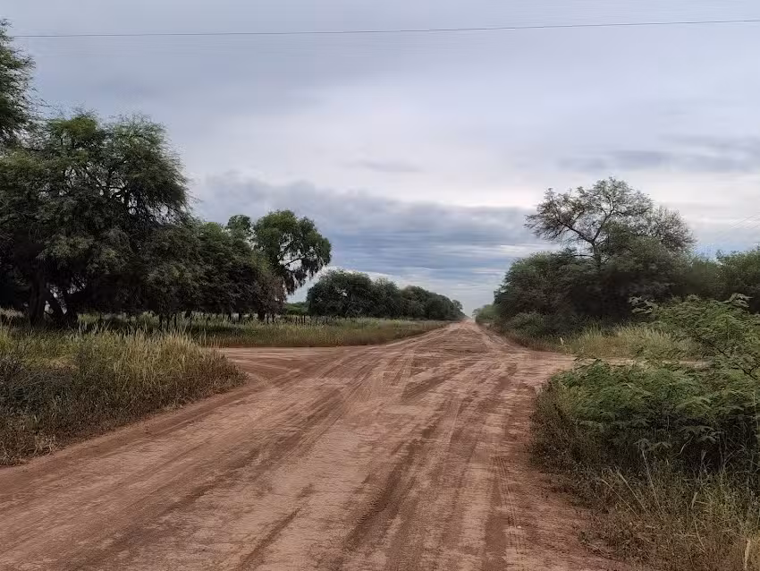 Pje las 4 bocas, el espinillo Chaco