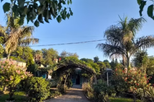 Primero de mayo