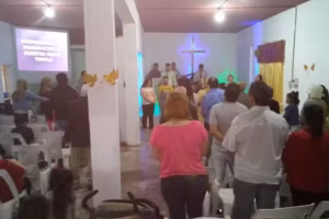 Rey David