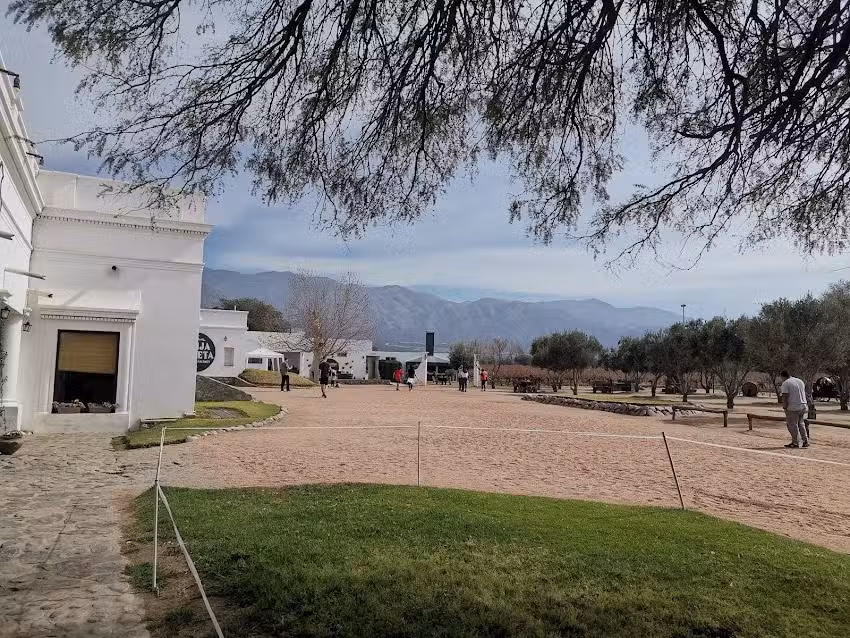 Salta