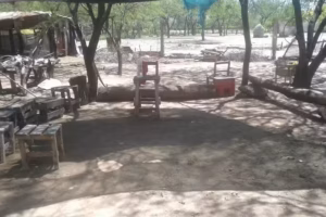 San Isidro labrador