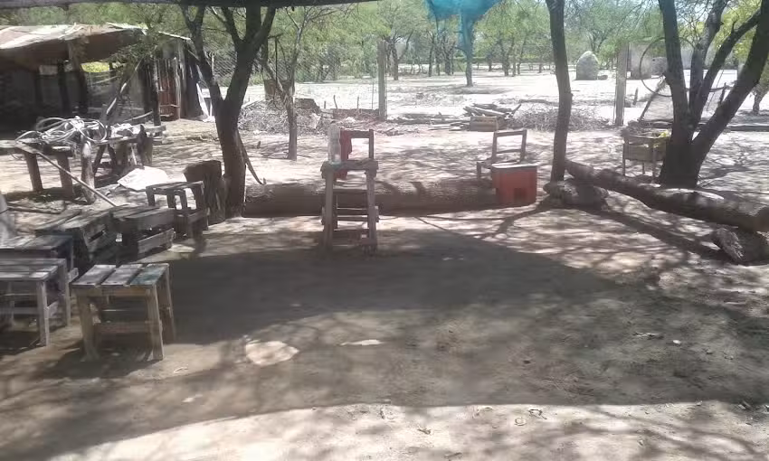 San Isidro labrador