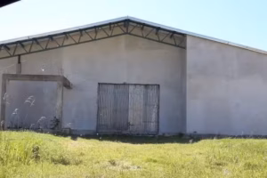 San Pío de Pietrelcina