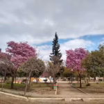 Santa Rita
