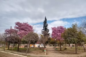 Santa Rita