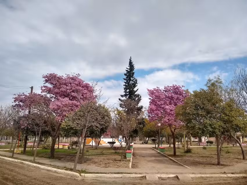 Santa Rita