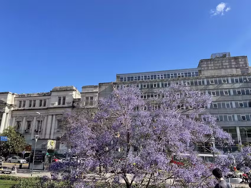 UBF en Buenos Aires